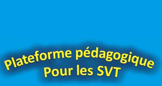 PLATEFORME SVT